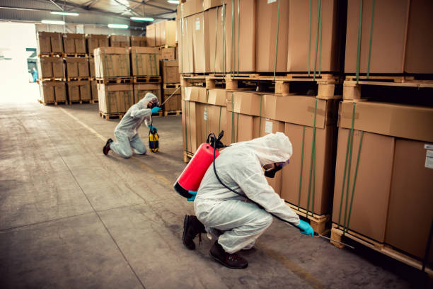 Best Wildlife Control Services  in Mec, CA