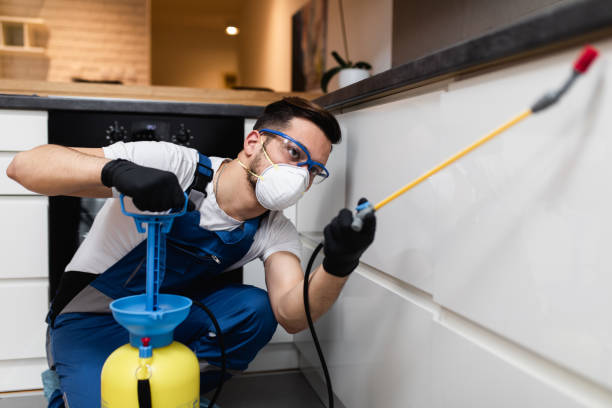 Best Bed Bug Extermination  in Mec, CA