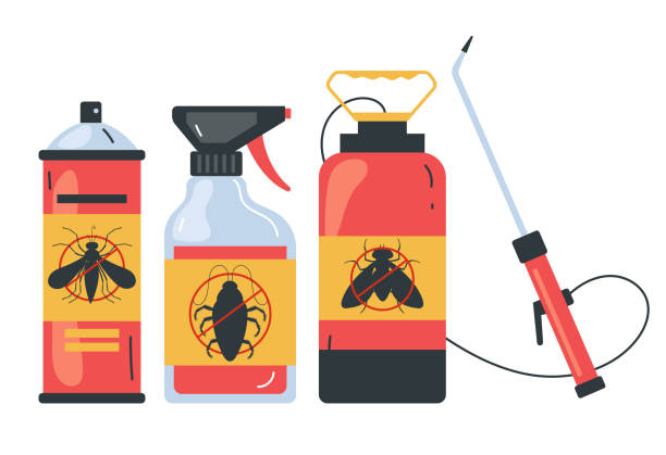 Best Termite Control Services  in Mec, CA