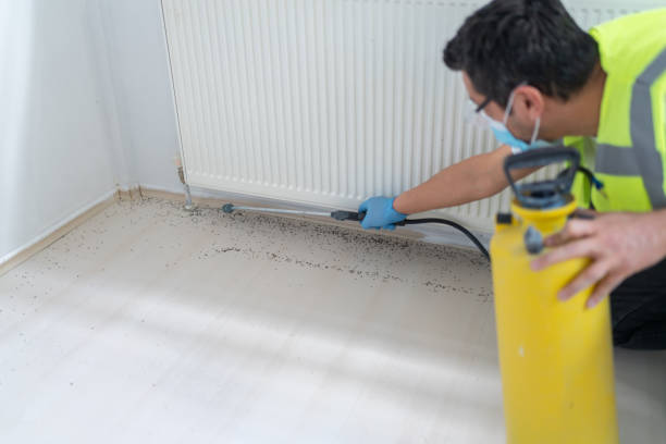 Trusted Mecca, CA Pest Control Experts
